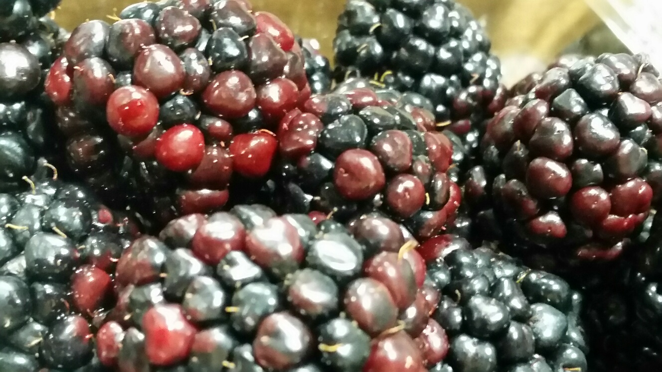 Blackberry specification